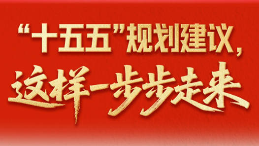 “十五五”规划建议，这样一步步走来