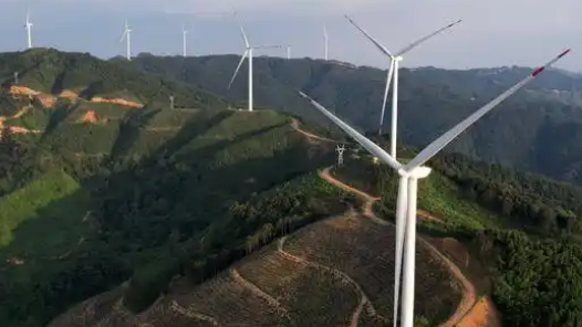 搭建“宁新七彩”链桥 赋能企业高质量发展