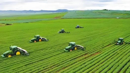 “十四五”，我们见证这些硬核突破｜从粒粒良种，到仓廪充盈