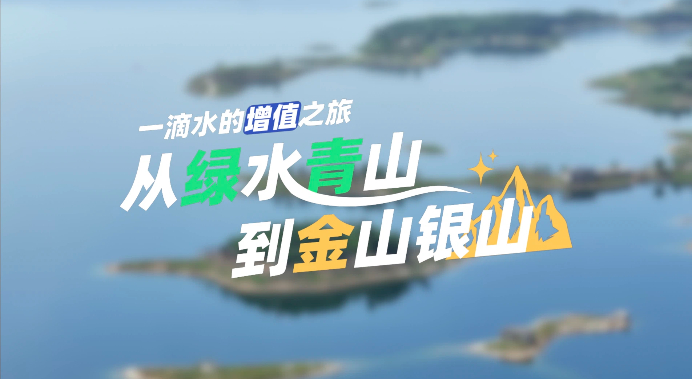 005056b83fc82a7288a303