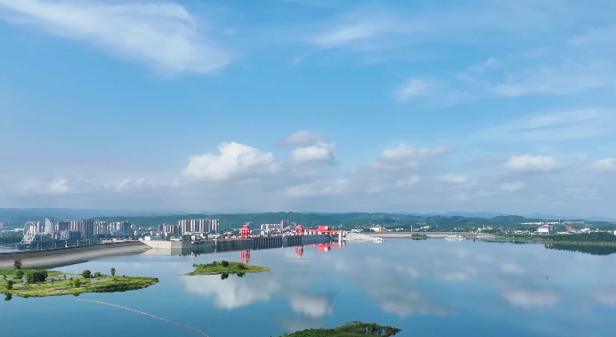 005056b83fc82a7288d705