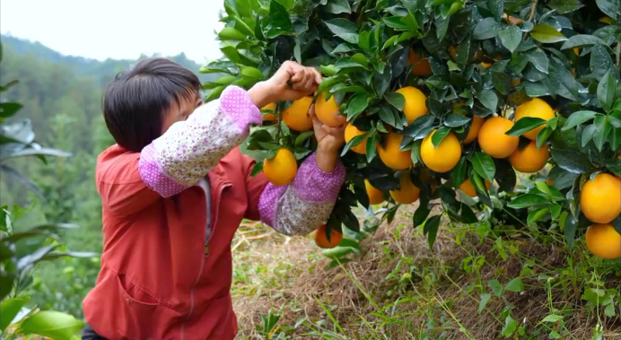 005056b83fc82a7288fa07