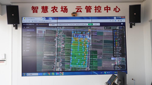 四中全会精神在基层丨记者手记：在大通湖畔感受现代农业新气象