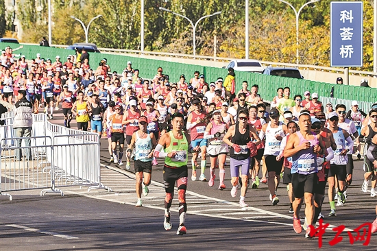 3190557_tpzz_1762223139631_b