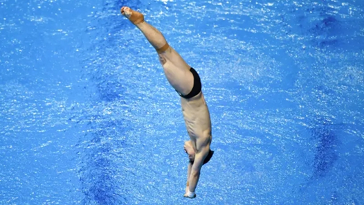 跳水：王伟莹王宗源夺冠