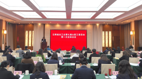 云南省总工会第七届女职工委员会第一次全体会议召开