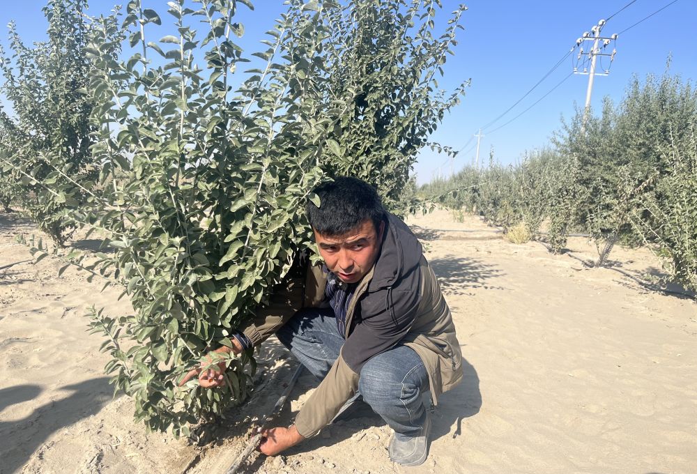 XxjnzxC000009_20251105_CBMFN0A002 XxjnzxC000009_20251105_CBMFN0A002