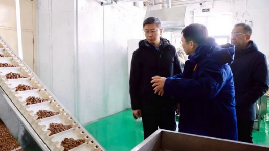 擎旗定向——解码“睿进先锋”文化 赋能企业高质量发展的生动图谱