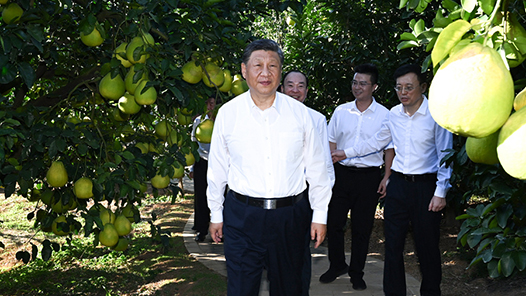 看图学习·回眸2025｜“发展有不平衡的地方” 总书记一直惦念在心