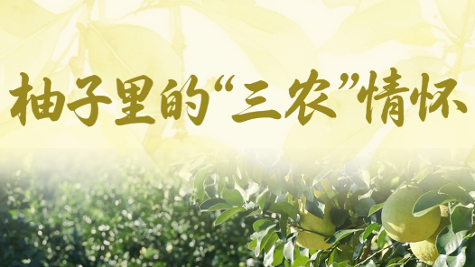 一见·柚子里的“三农”情怀