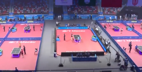 乒乓球赛场乡音阵阵 东道主选手动力十足