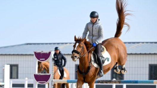 全运会｜马术比赛10日开赛 深港合作保驾护航