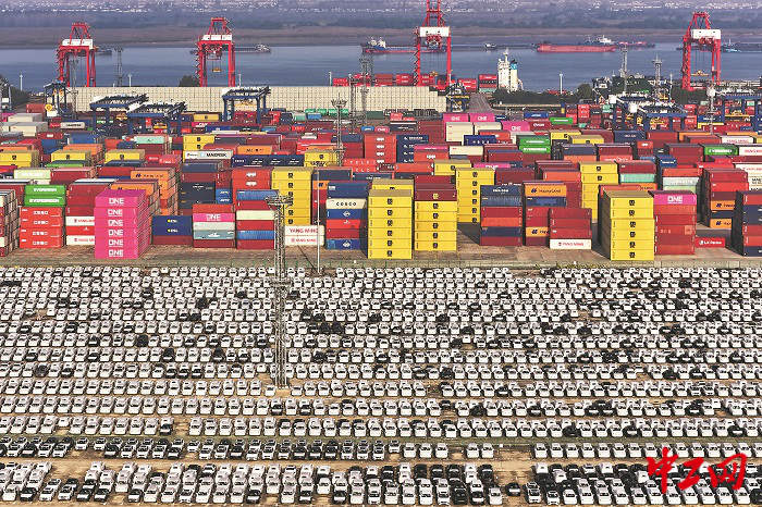 3208557_tpzz_1762959627064_b