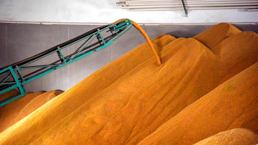 全国秋粮收购量超亿吨