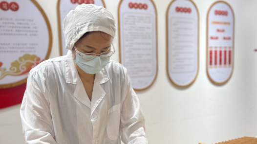 杨能英：传丸剂传统技艺 承百年药厂匠心