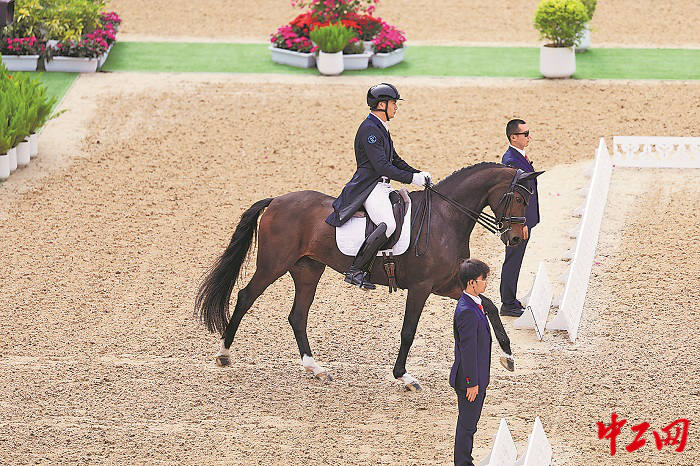 3211630_tpzz_1763048166040_b