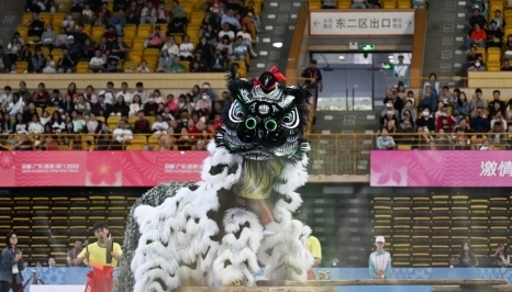 舞龙舞狮全运舞台焕发新活力