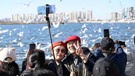 李强在政府工作报告中介绍，一年来加快美丽中国建设，推动绿色低碳发展