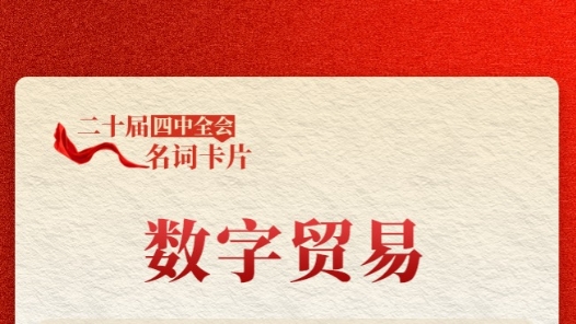 二十届四中全会名词卡片：数字贸易