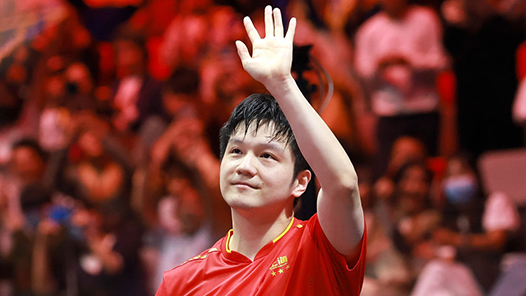 全运会｜全天综合：巩立姣泪别收官之战 樊振东与王曼昱双双卫冕