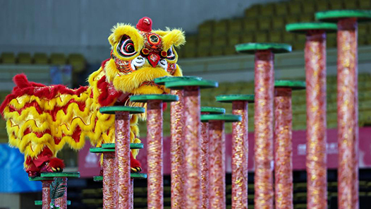 激情十五运｜“整装”大湾区 携手向未来