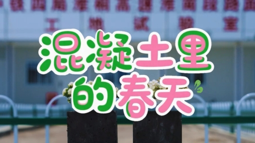 混凝土里的春天