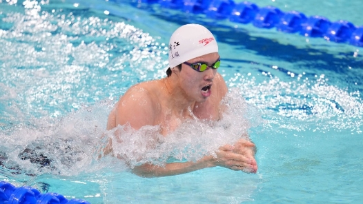 十五运会游泳项目比赛结束：新秀勇拼搏 名将展风采