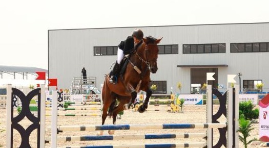 内蒙古队斩获十五运会马术团体赛铜牌