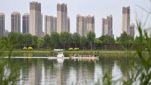 聚焦“十五五”规划建议｜发展各具特色的县域经济