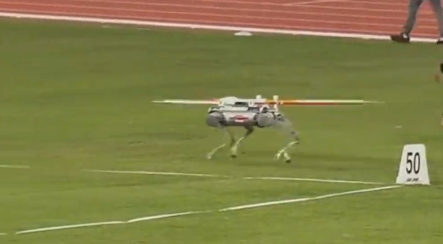 精彩瞬间丨机器狗“上岗” 运输好帮手