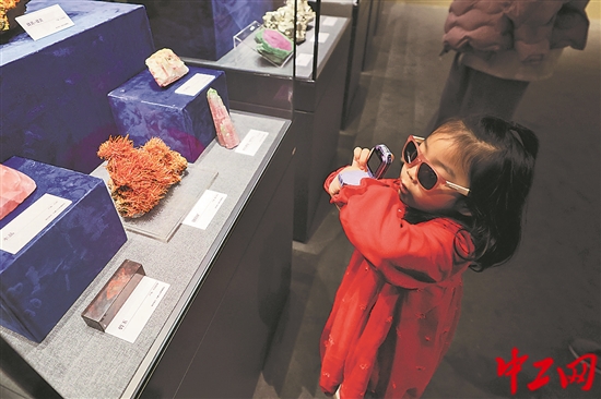 3229597_tpzz_1763704675296_b