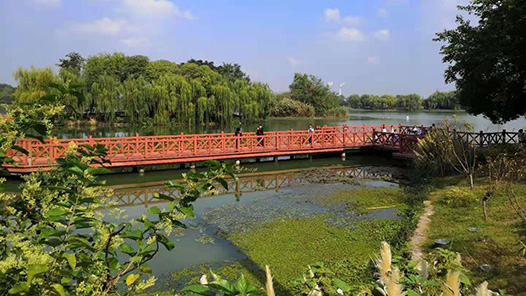 宁夏工会开展“追寻红色印记”疗休养活动