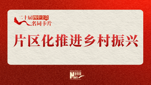 二十届四中全会名词卡片：片区化推进乡村振兴