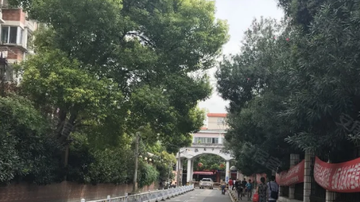 贯彻四中全会精神一线见闻｜社区治理来了“生力军”