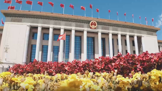 学习规划建议每日问答｜为什么要着力打造新兴支柱产业