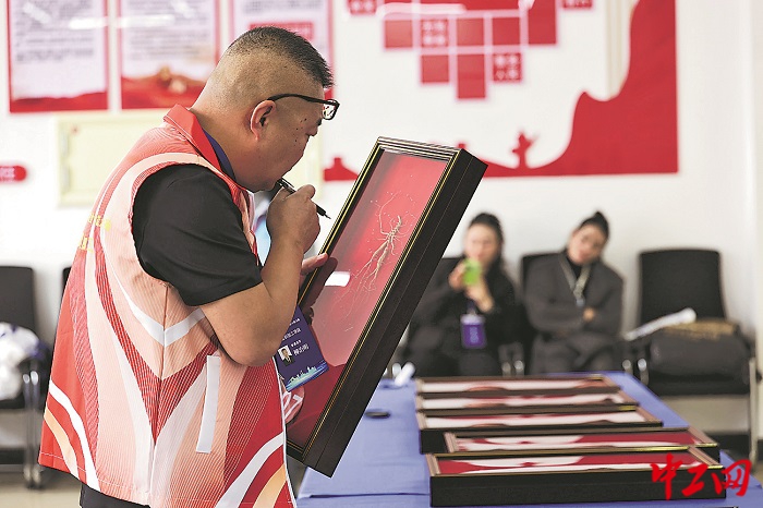 3235699_tpzz_1764050526766_b