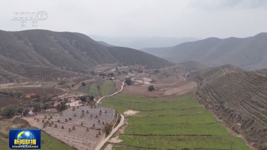 学习贯彻四中全会精神在基层｜广西：端稳国家“糖罐子” 甘肃：推动现代农业提质增效