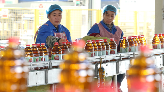 学习规划建议每日问答丨为什么要全链条推动集成电路、工业母机、高端仪器、基础软件、先进材料、生物制造等重点领域关键核心技术攻关取得决定性突破