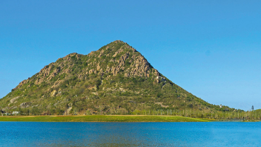 党建引领聚合力 深融双创促发展