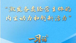 一习话·迈向“十五五”丨“激发各类经营主体的内生动力和创新活力”