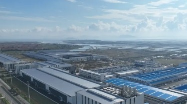 “价值”党建强引领 支部“攻坚”聚合力