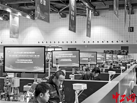 3243728_tpzz_1764658717597_b 3243728_tpzz_1764658717597_b