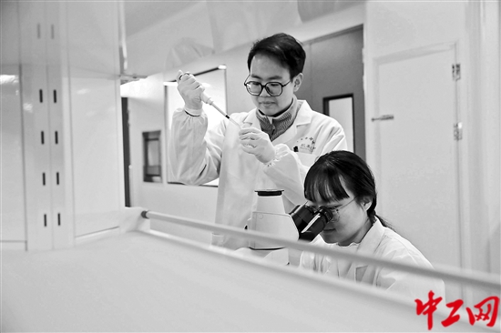 3243513_tpzz_1764658615085_b