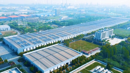 “党建引领”书写“绿色发展”新篇章