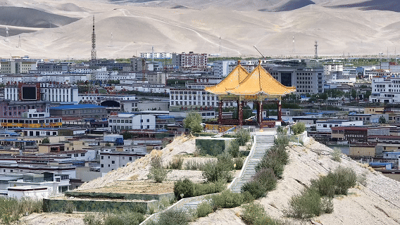 105012025120200007666