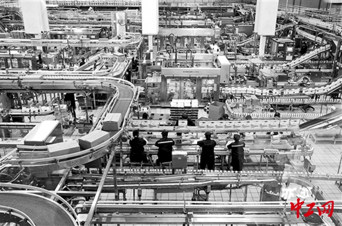 3246067_tpzz_1764830133624_b