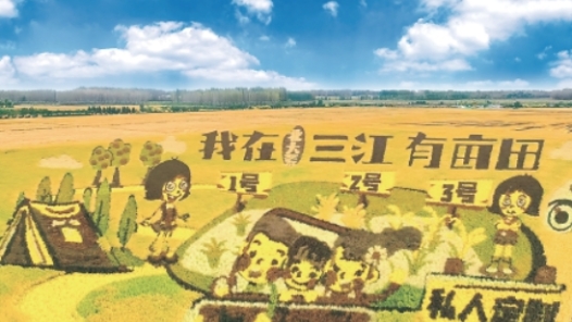 定制农业如何走出提质增效新路