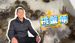 三工视频·新360行之挑蟹师｜螃蟹“选美”裁判长