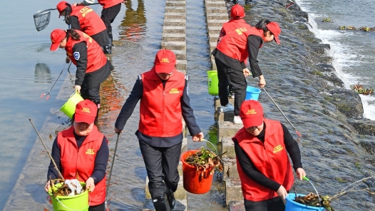 关键词读懂“十五五”｜发展志愿者服务 “银发力量”拓展公益新内涵