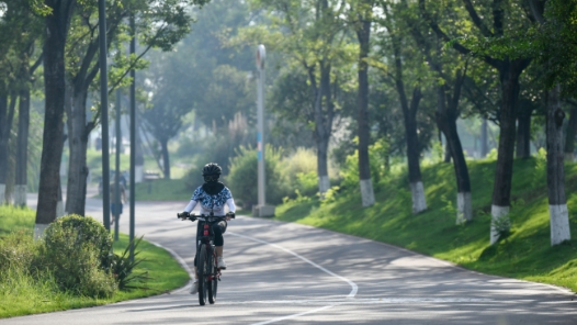 新华鲜报·“十四五”发展亮点｜中国“调色盘”增新绿！森林覆盖率超25%